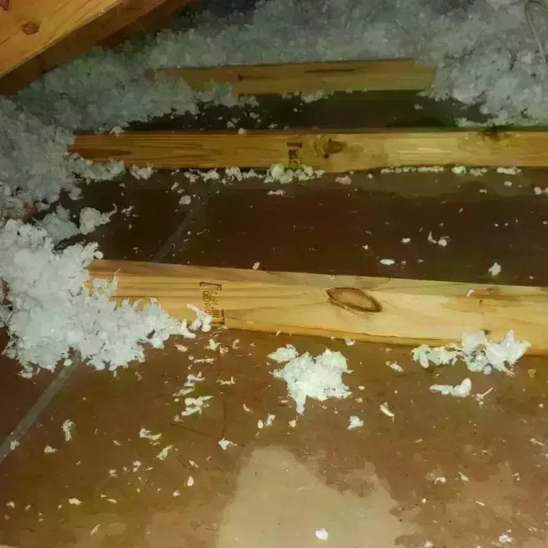 Attic Water Damage in Union County, NM